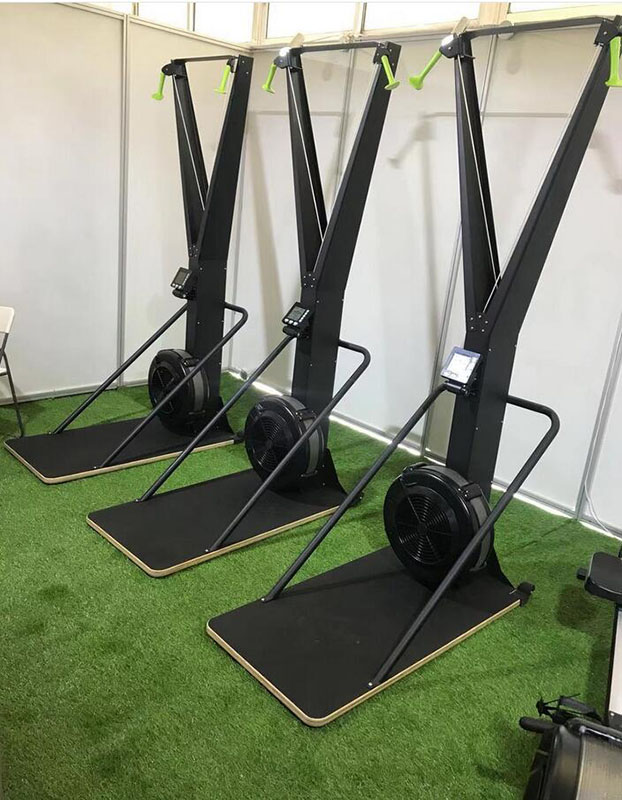Лыжный тренажер Insight Fitness XF02