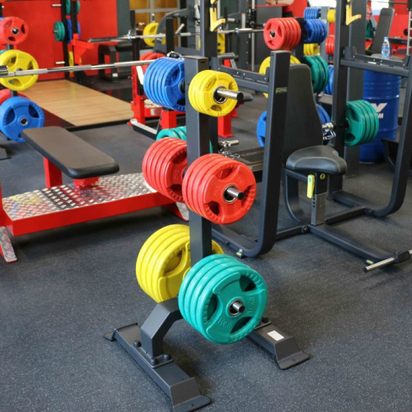 Диск обрезиненный 3 HANDLE цветной D51 мм PROFI-FIT