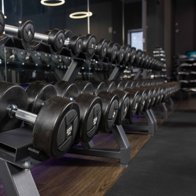 Гантельный ряд силовой (шаг 2,5 кг, 5 пар) 27,5-37,5 кг PROFI-FIT