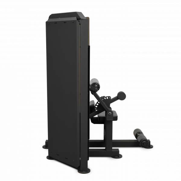 Пресс-машина профессиональный BRONZE GYM PARTNER ML-812