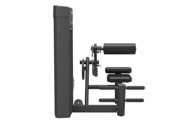 Разгибание спины SPIRIT SP-4310